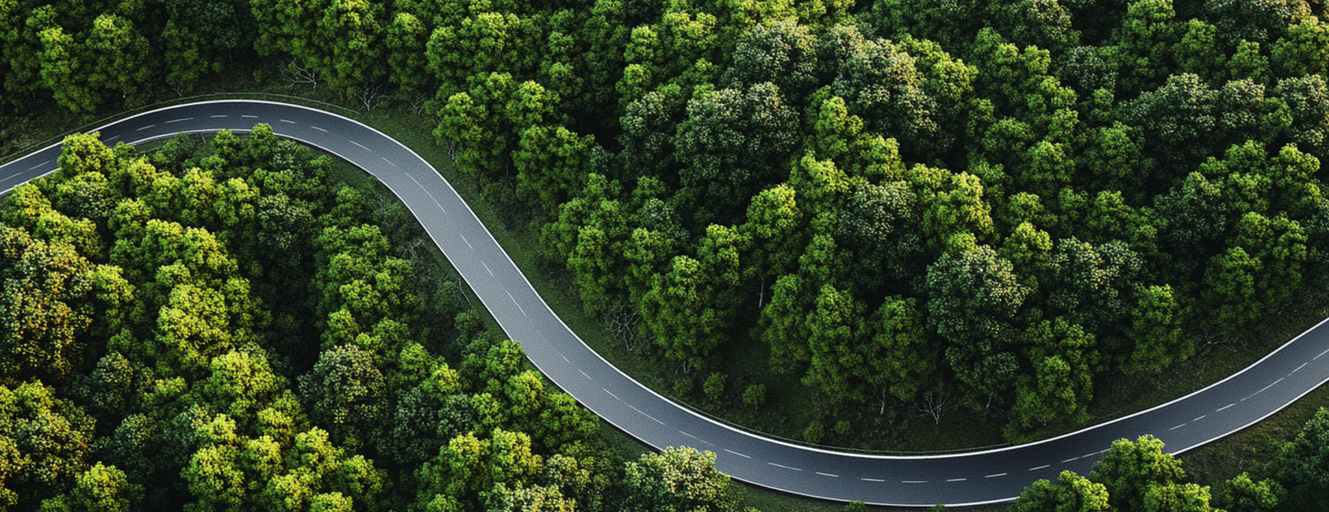 918������(�й���)����