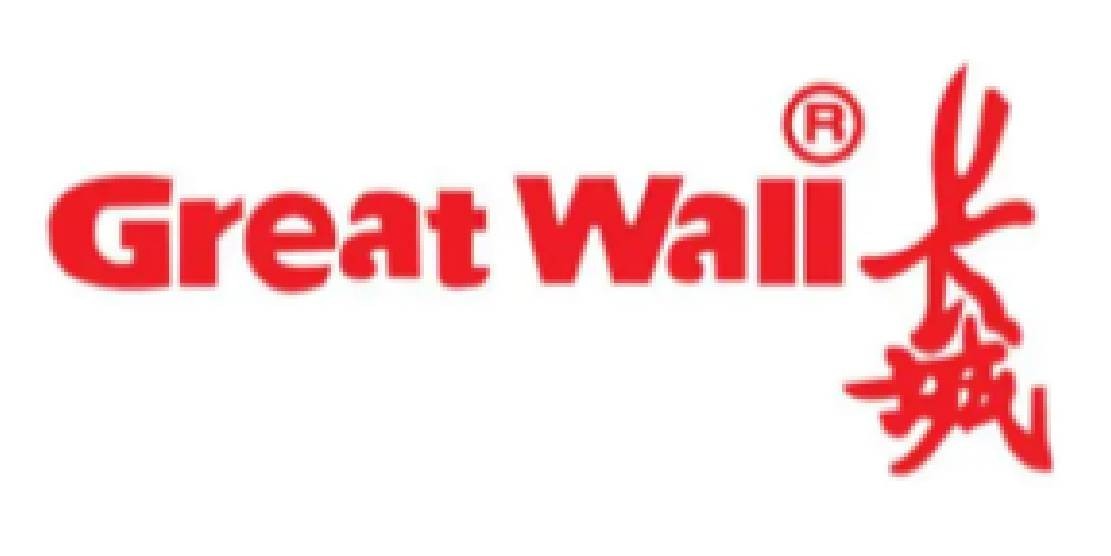 918������(�й���)����